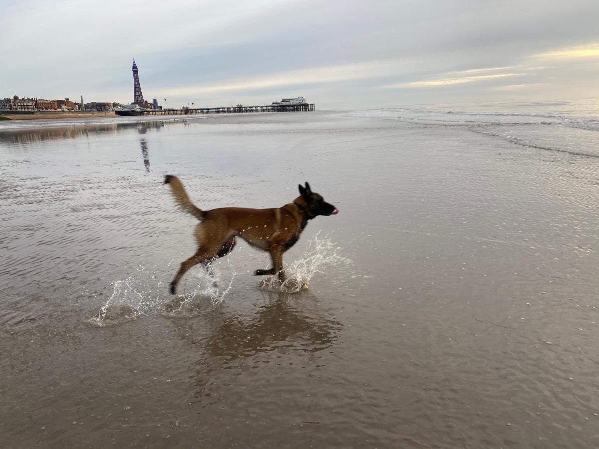 The Mayfield Hotel Blackpool Zewnętrze zdjęcie